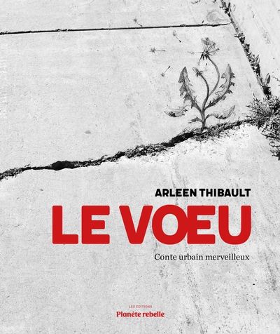 Le Voeu : Conte urbain merveilleux