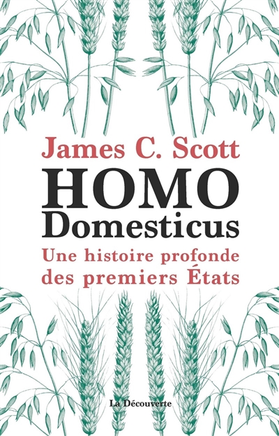 Homo domesticus : une histoire profonde des premiers Etats