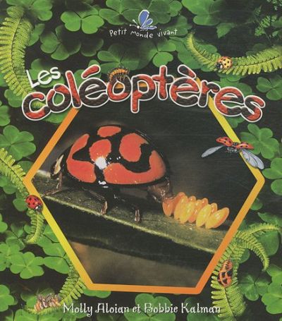 Les coléoptères