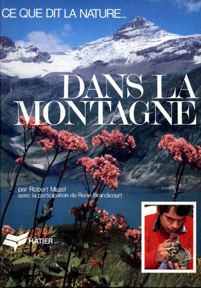 Dans La Montagne