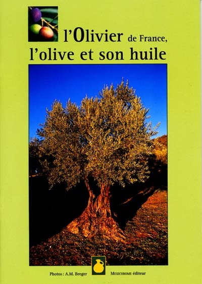 L'olivier de France et son huile