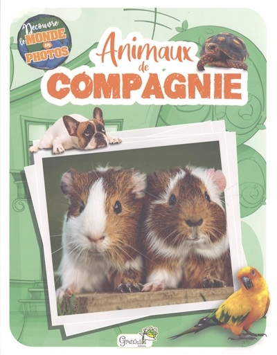 Animaux de compagnie