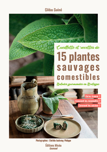 Cueillette et recettes de 15 plantes sauvages comestibles : balades gourmandes en Bretagne
