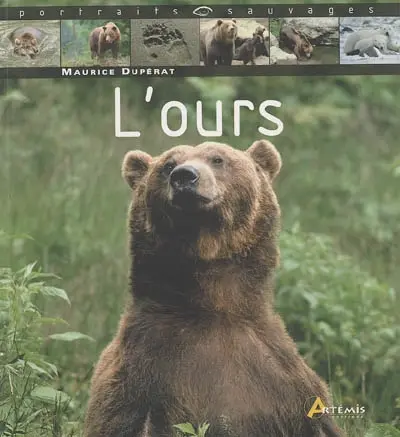 L'ours