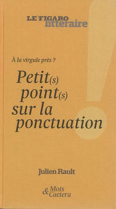 A la virgule près ? : petit(s) point(s) sur la ponctuation