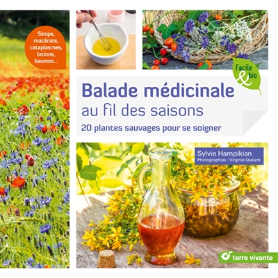Balade médicinale au fil des saisons : 20 plantes sauvages pour se soigner