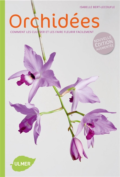 Orchidées : comment les cultiver et les faire fleurir facilement