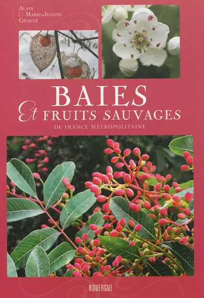 Baies et fruits sauvages de France métropolitaine