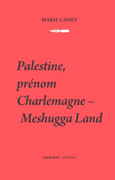 Palestine, prénom Charlemagne : meshugga land