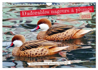 D'adorables nageurs à plumes (Calendrier mural 2025 DIN A4 vertical), CALVENDO calendrier mensuel : Des oiseaux aquatiques dans leur élément