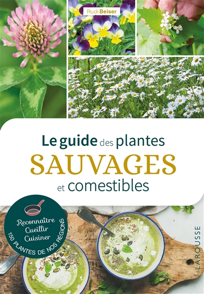Le guide des plantes sauvages et comestibles : reconnaître, cueillir, cuisiner 150 plantes de nos régions