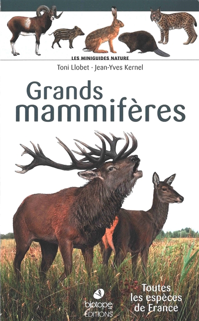 Grands mammifères : toutes...