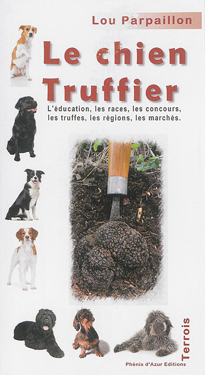 Dressage du chien truffier : sans chien, pas de truffes