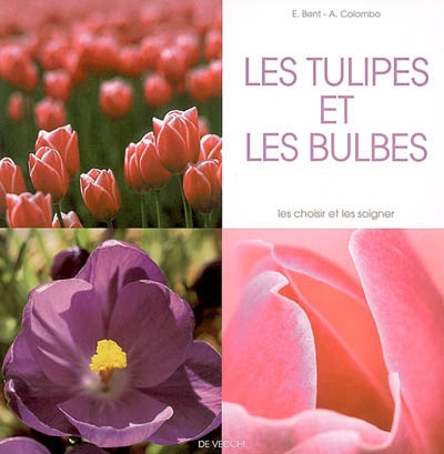 Les tulipes et les bulbes : les choisir et les soigner