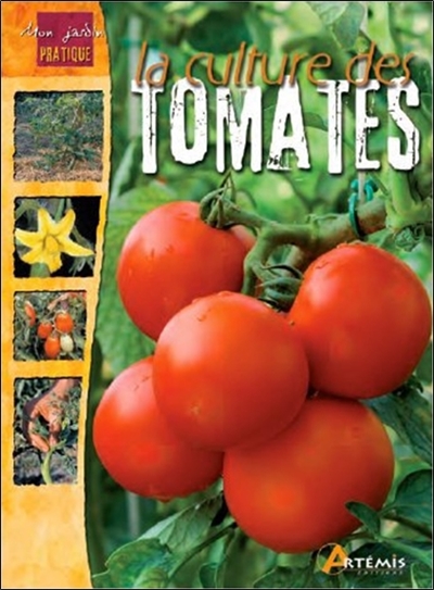 La culture des tomates