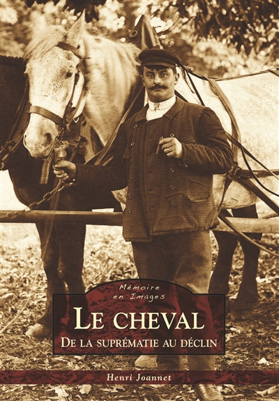 Le cheval : de la suprématie au déclin