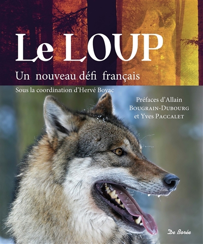 Le loup : un nouveau défi français