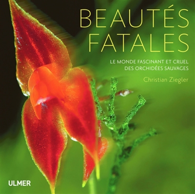 Beautés fatales : le monde fascinant et cruel des orchidées sauvages