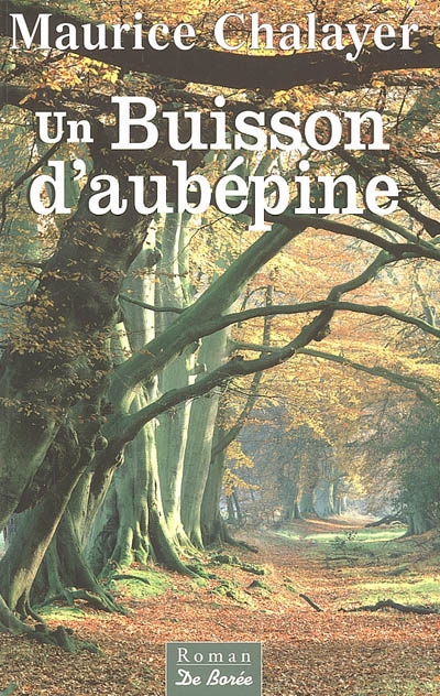 Un buisson d'aubépine