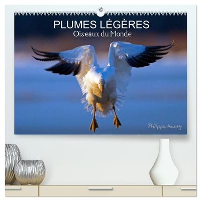 PLUMES LEGERES. Oiseaux du...