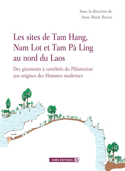 Les sites de Tam Hang, Nam Lot et Tam Pà Ling au nord du Laos : des gisements à vertébrés du pléistocène aux origines des hommes modernes