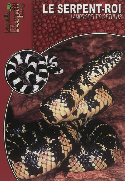 Le serpent-roi : Lampropeltis getula