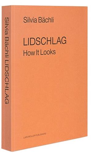 Silvia Bachli Lidschlag How It Looks (Hardback)