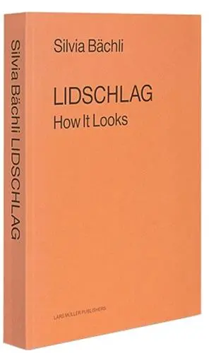 Silvia Bachli Lidschlag How It Looks (Hardback)