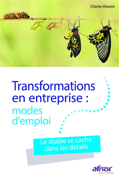 Transformations en entreprise : modes d'emploi : le diable se cache dans les détails