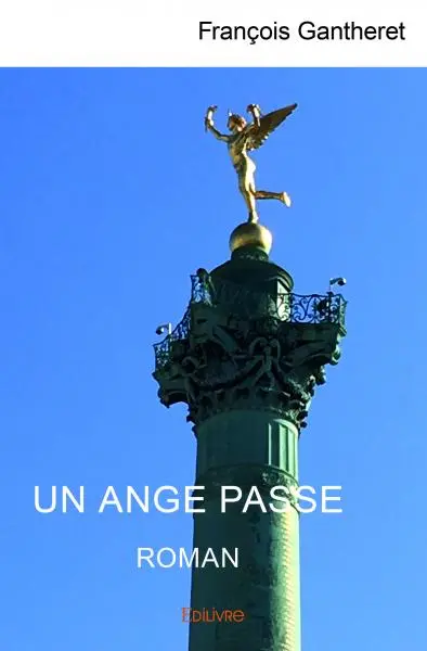 Un ange passe : Roman