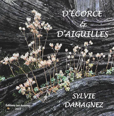 D'écorce et d'aiguilles
