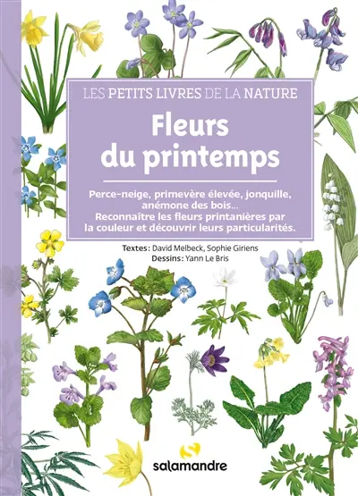 Fleurs des printemps : perce-neige, primevère élevée, jonquille, anémone des bois... : reconnaître les fleurs printanières par la couleur et découvrir leurs particularités