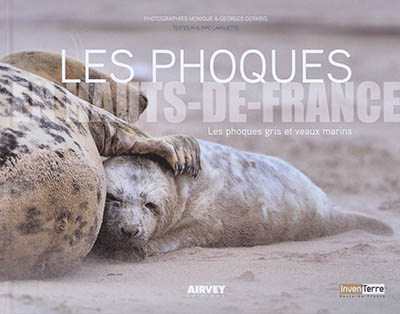 Les phoques en Hauts-de-France : les phoques gris et veaux marins