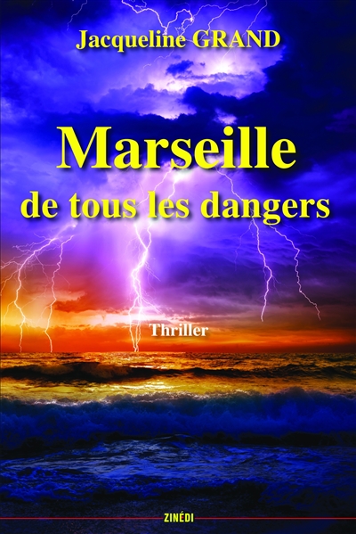 Marseille de tous les dangers : thriller