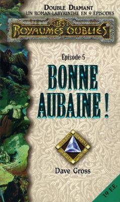 Double diamant : un roman-labyrinthe en 9 épisodes. Vol. 5. Bonne aubaine !