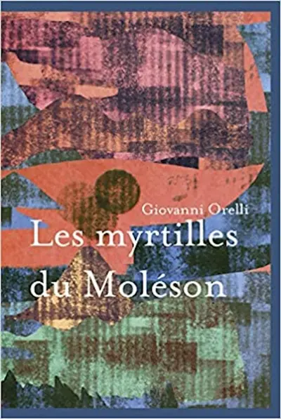 Les myrtilles du Moléson