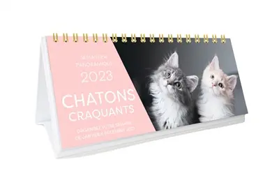 Chatons craquants 2023 : organisez votre semaine de janvier à décembre 2023