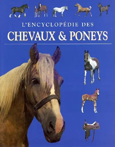 L'encyclopédie des chevaux & poneys