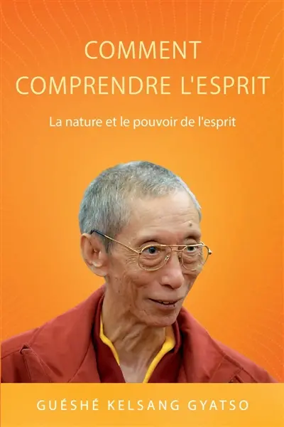 Comment comprendre l'esprit : la nature et le pouvoir de l'esprit