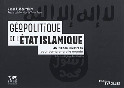Géopolitique de l'Etat islamique : 40 fiches illustrées pour comprendre le monde