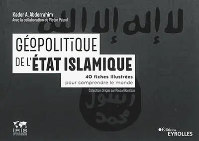 Géopolitique de l'Etat islamique : 40 fiches illustrées pour comprendre le monde