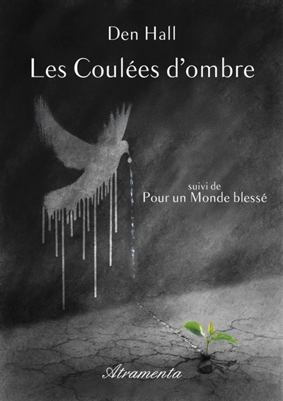 Les coulées d'ombre