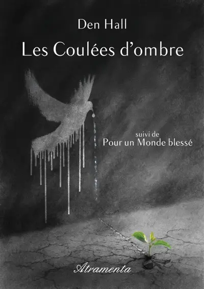 Les coulées d'ombre