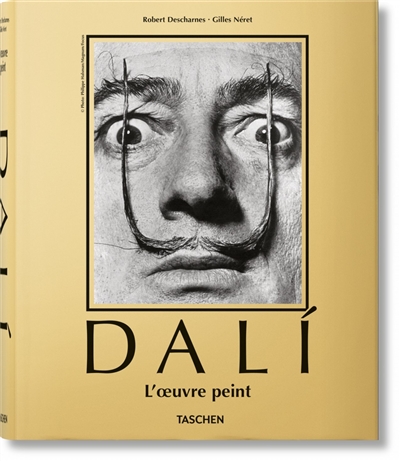 Dali : l'oeuvre peint