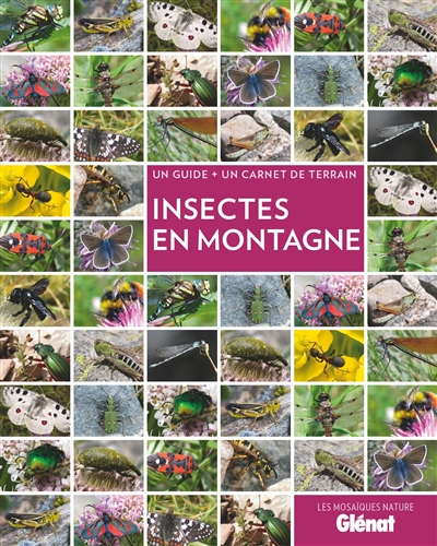 Insectes en montagne : un...