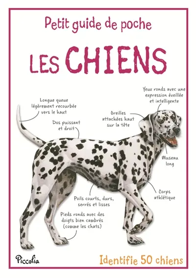 Les chiens : identifie 50 chiens