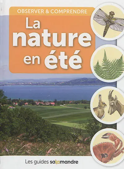 La nature en été : observer & comprendre