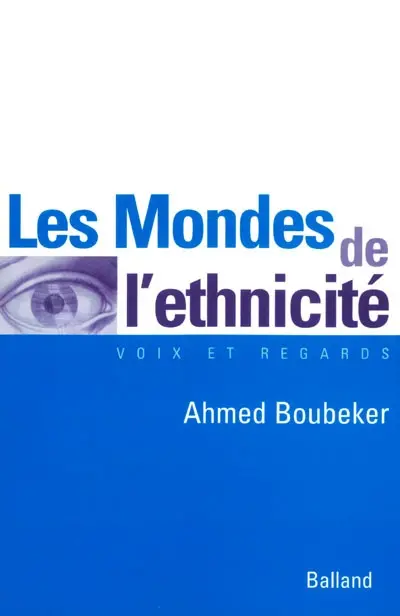Les mondes de l'ethnicité : la communauté d'expérience des héritiers de l'immigration maghrébine