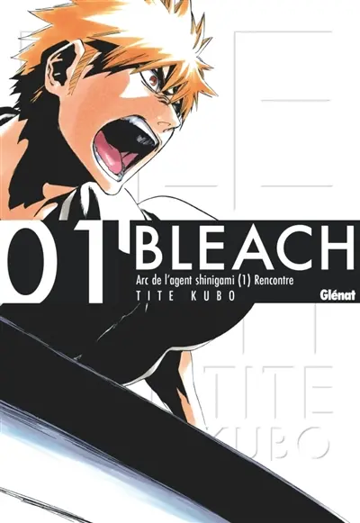 Bleach. Vol. 1. The death and the strawberry