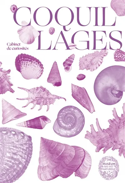 Coquillages : joyaux des mers